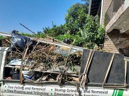 Best Same-Day Junk Removal Services  in Holly Hill, SC